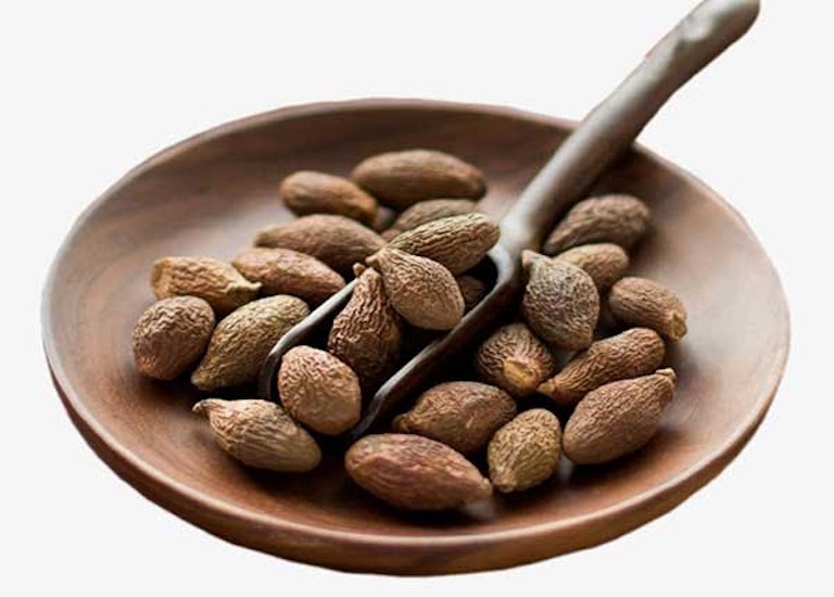 Hạt đười ươi khô được bán trên thị trường hiện nay