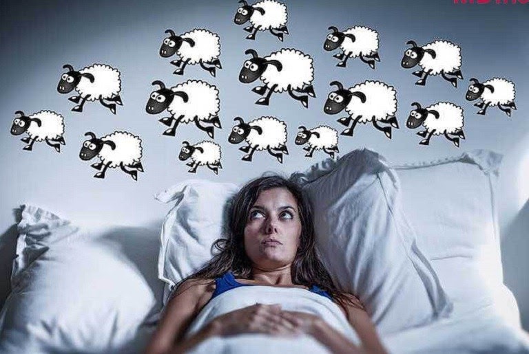Cây đơn lá đỏ