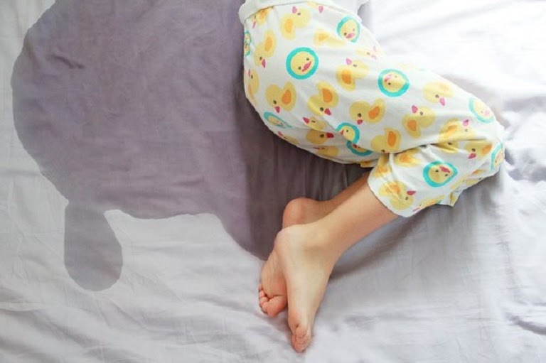Cây Bầu Đất có thể trị dứt điểm bệnh đái dầm ở trẻ