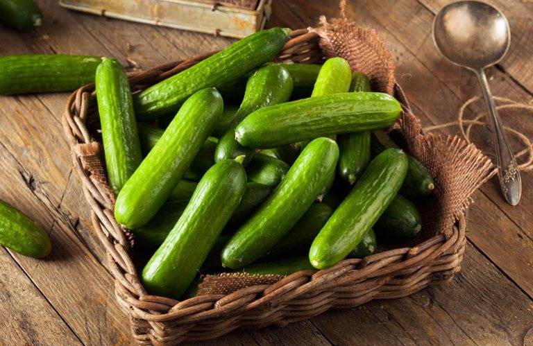 Chữa bệnh gout bằng dưa chuột