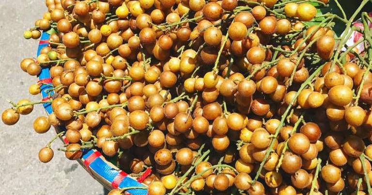 Hồng bì có thể dùng cả rễ lá, quả và hạt nhưng phổ biến nhất là quả