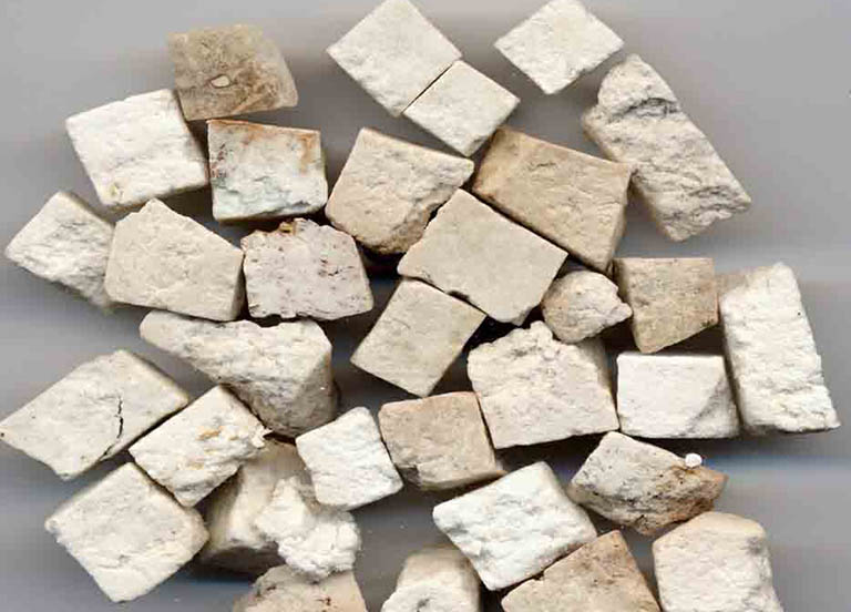 31 Bài thuốc chữa bệnh từ bạch thục linh