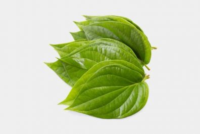 lá trầu không chữa bệnh viêm lợi